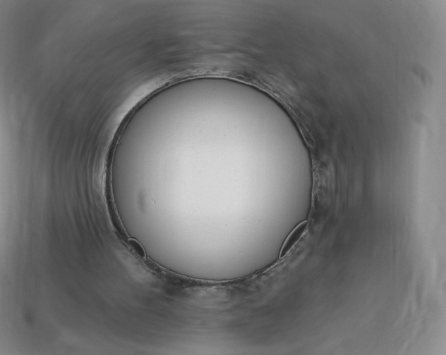 X0000114030100200910161829