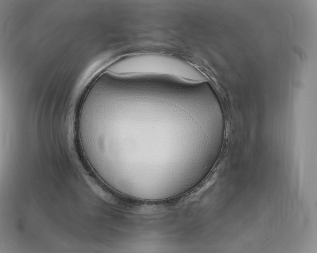 X0000114030101200910161829