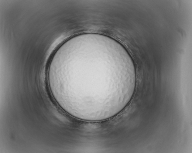 X0000114030102200910161829