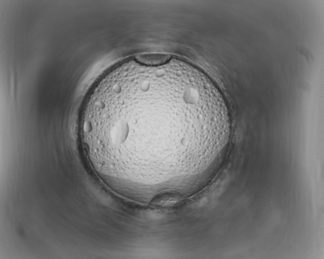 X0000114030103200910161829