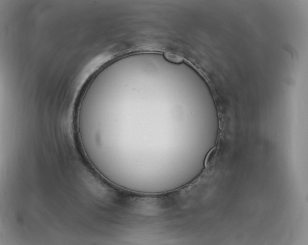 X0000114030104200910161829