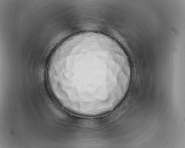 X0000114030106200910161829