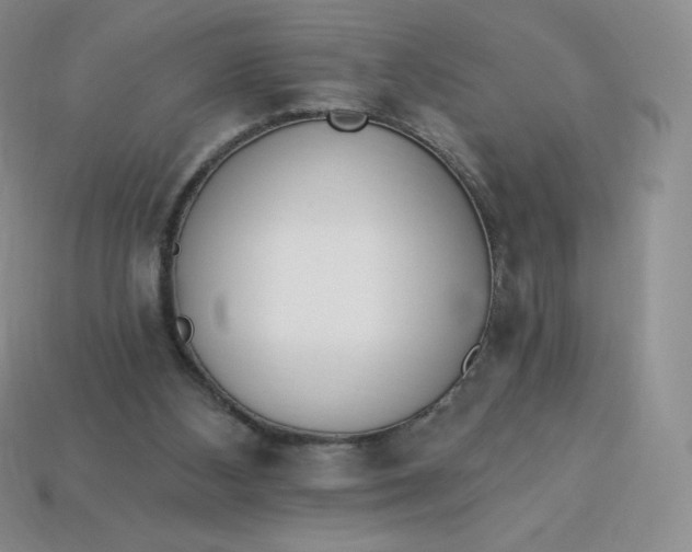 X0000114030108200910161829