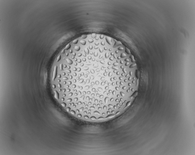 X0000114030110200910161829