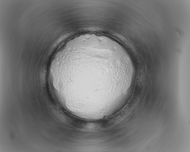 X0000114030111200910161829