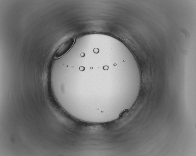 X0000114030112200910161829