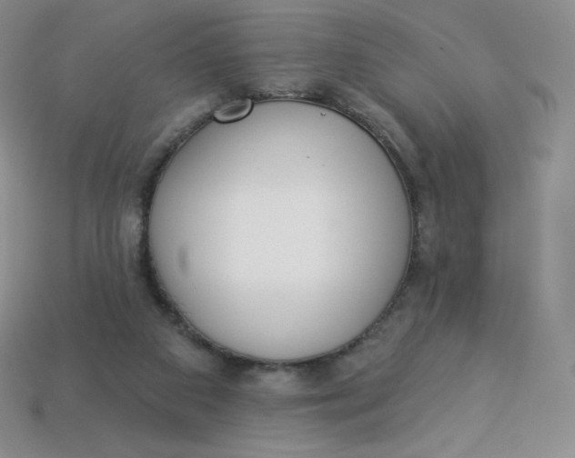 X0000114030113200910161829