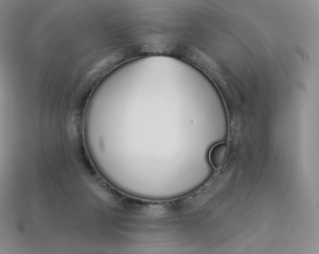 X0000114030114200910161829