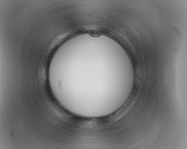 X0000114030116200910161828