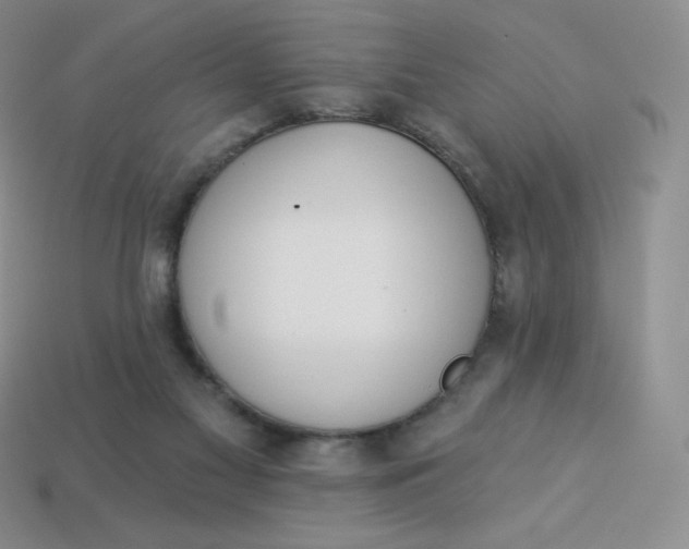 X0000114030117200910161828