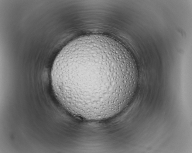 X0000114030121200910161828