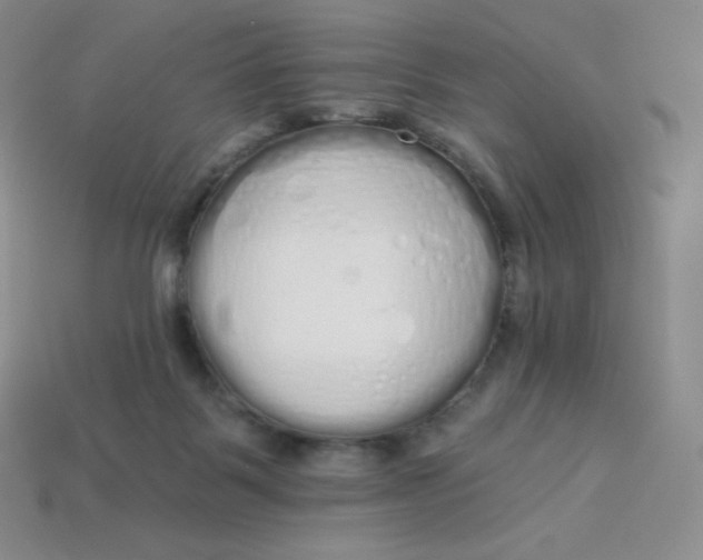 X0000114030123200910161828