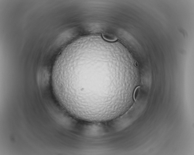 X0000114030124200910161828