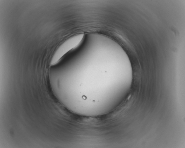 X0000114030125200910161828