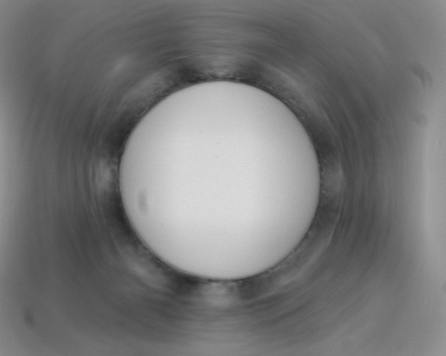 X0000114030126200910161828