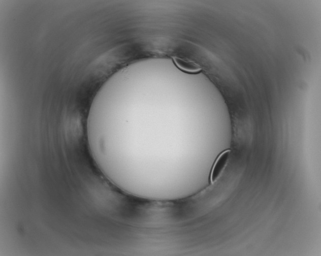 X0000114030128200910161828