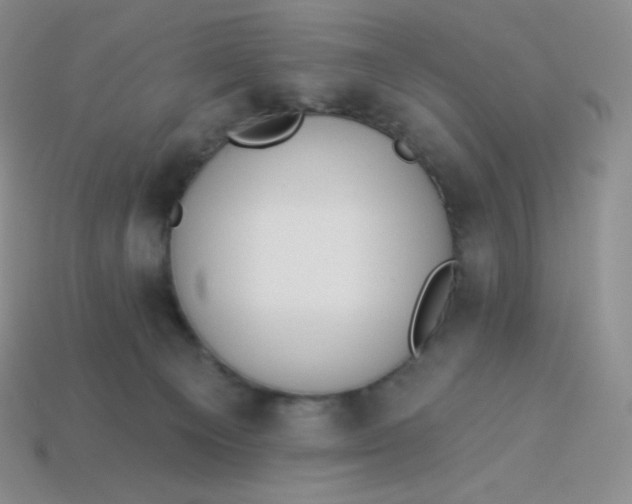 X0000114030129200910161828