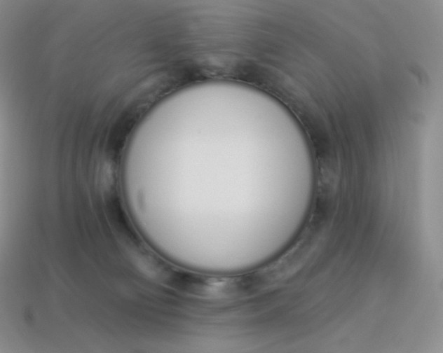 X0000114030130200910161828