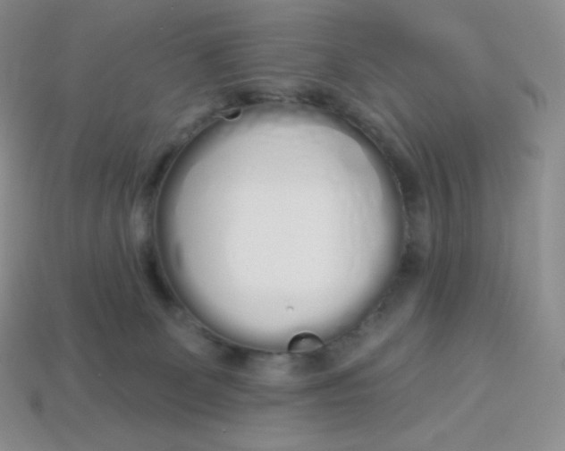 X0000114030131200910161828