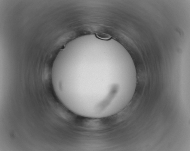 X0000114030132200910161828