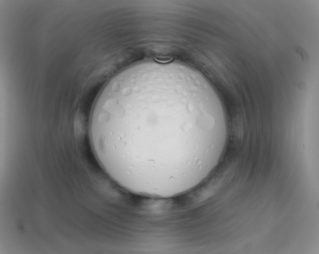 X0000114030135200910161828