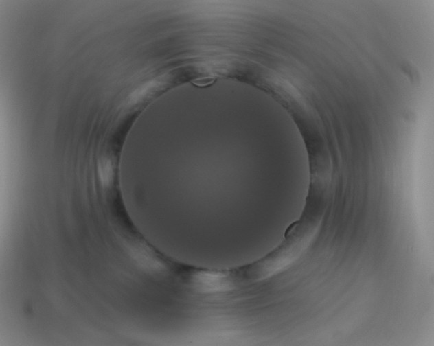 X0000114030139200910161828