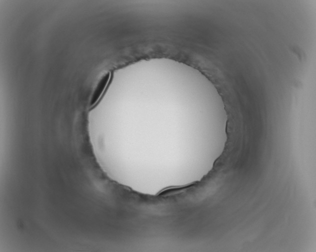 X0000114030144200910161828