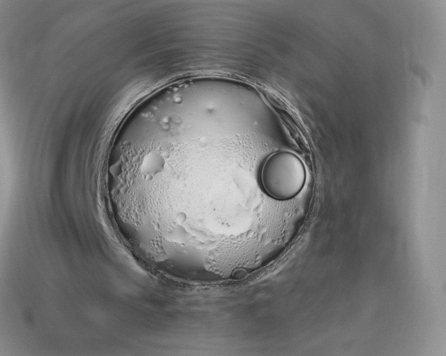 X0000114030145200910161827