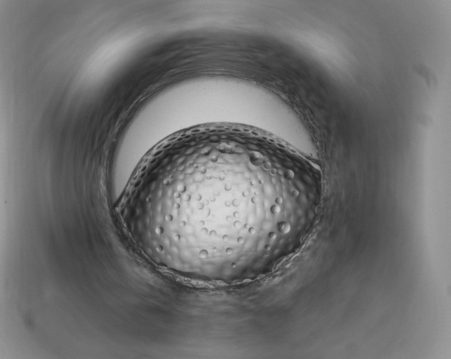 X0000114030146200910161827