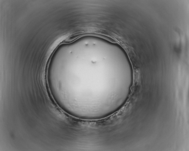 X0000114030147200910161827