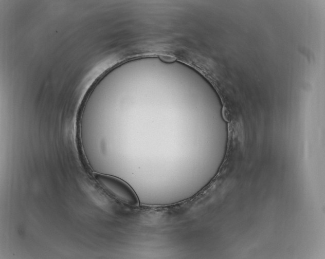 X0000114030148200910161827