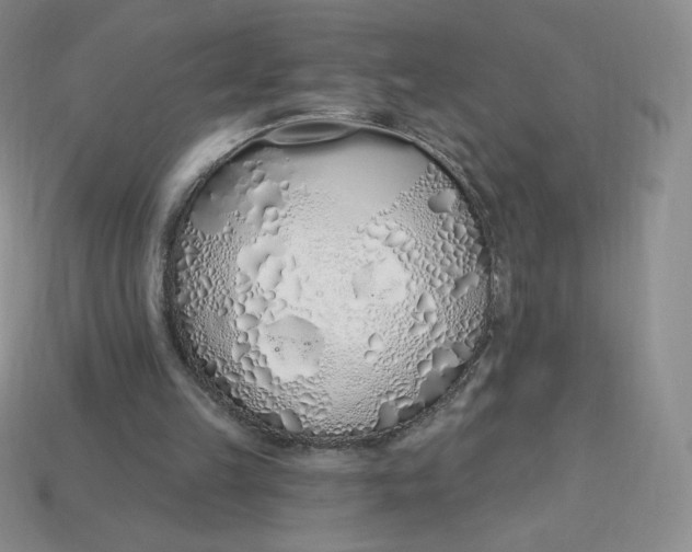 X0000114030149200910161827