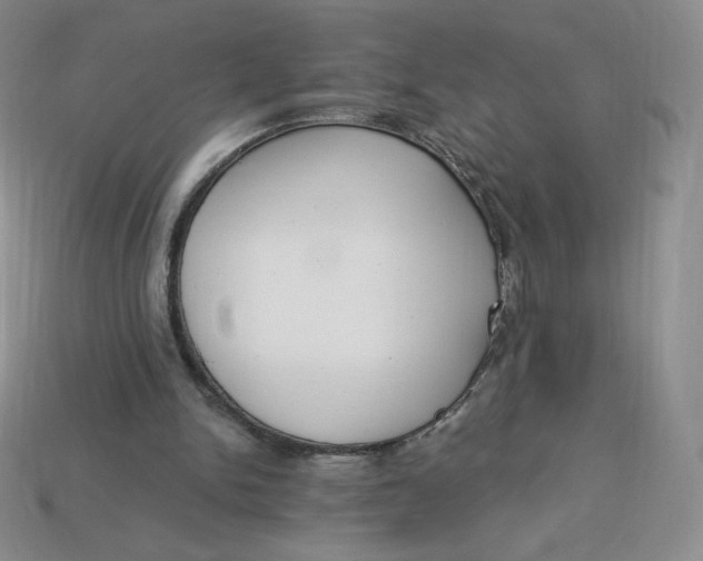 X0000114030150200910161827