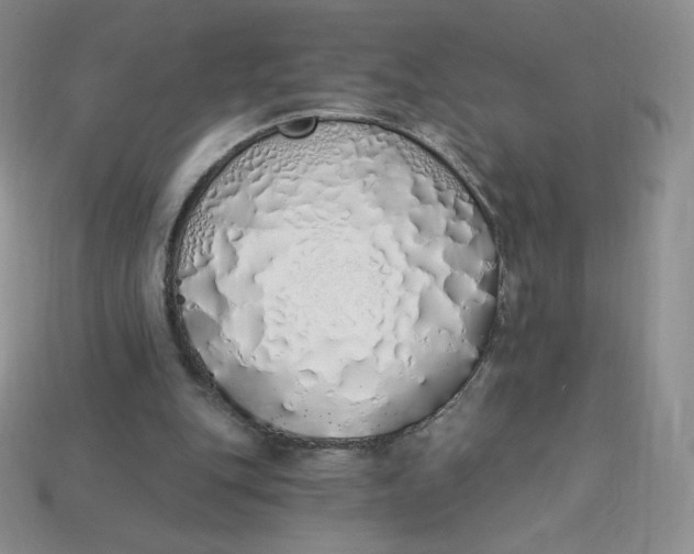 X0000114030151200910161827