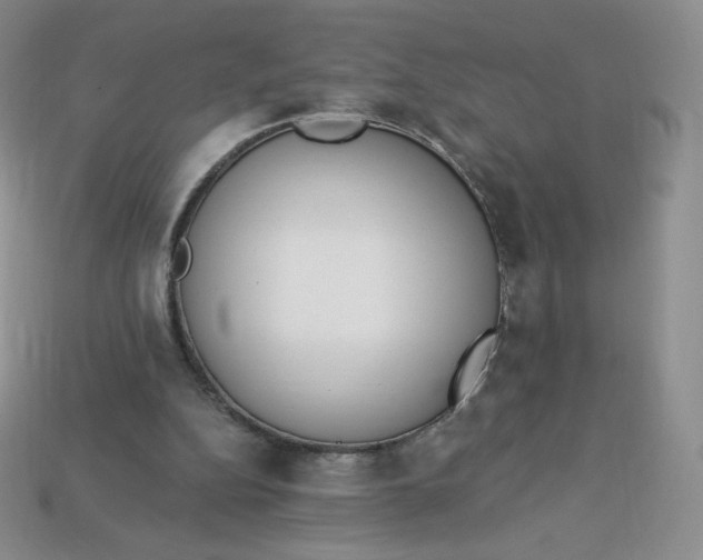 X0000114030152200910161827