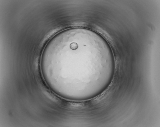 X0000114030155200910161828