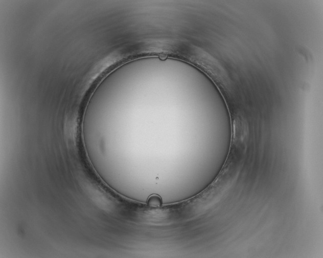 X0000114030156200910161828