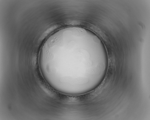 X0000114030159200910161828