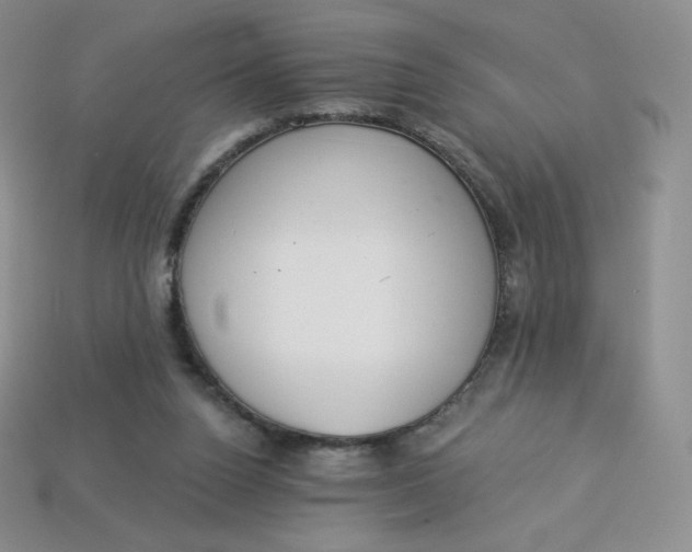 X0000114030160200910161828