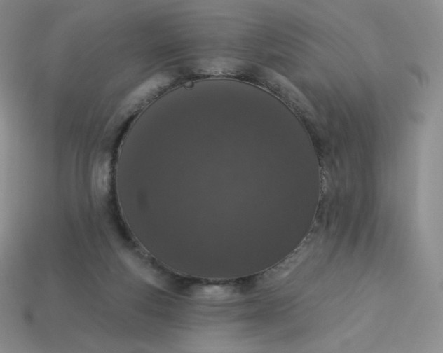 X0000114030163200910161828