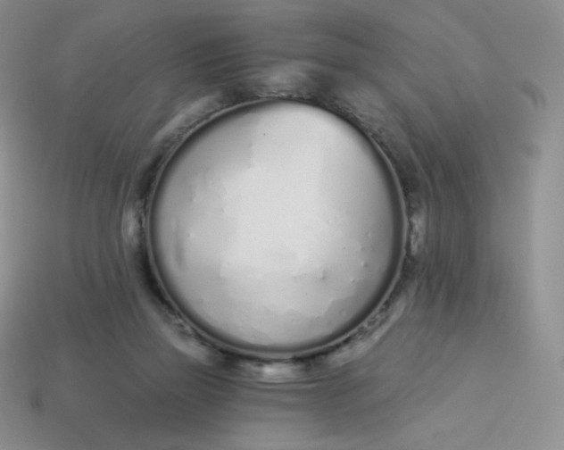 X0000114030165200910161828