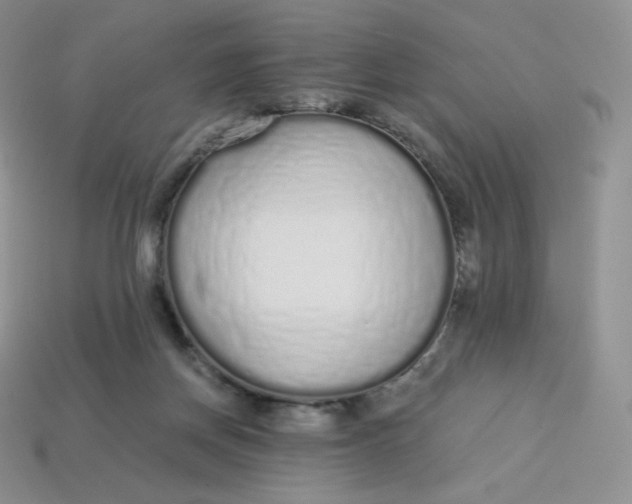 X0000114030166200910161828