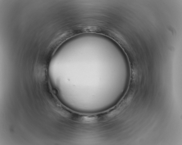 X0000114030169200910161828