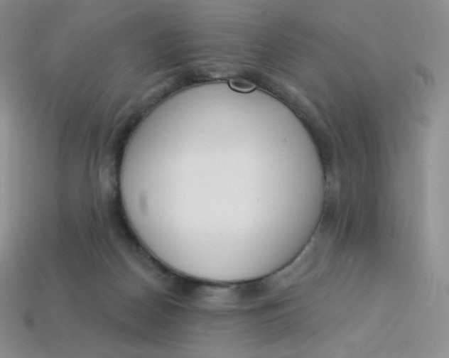 X0000114030170200910161828