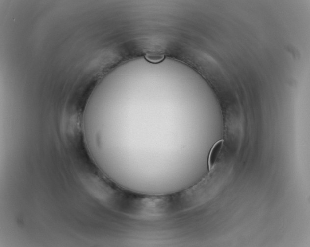 X0000114030172200910161828