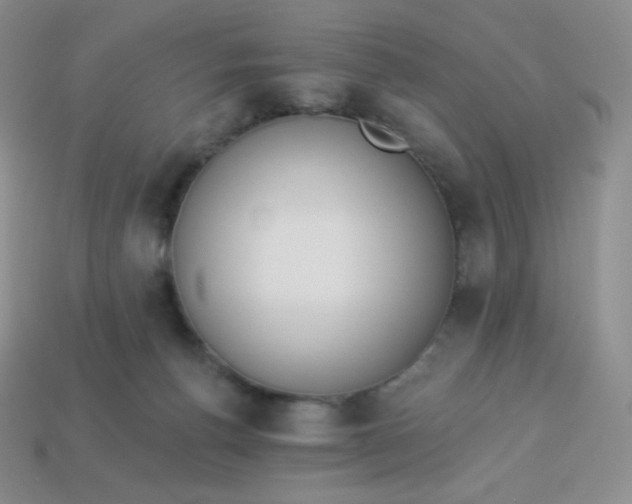 X0000114030176200910161828