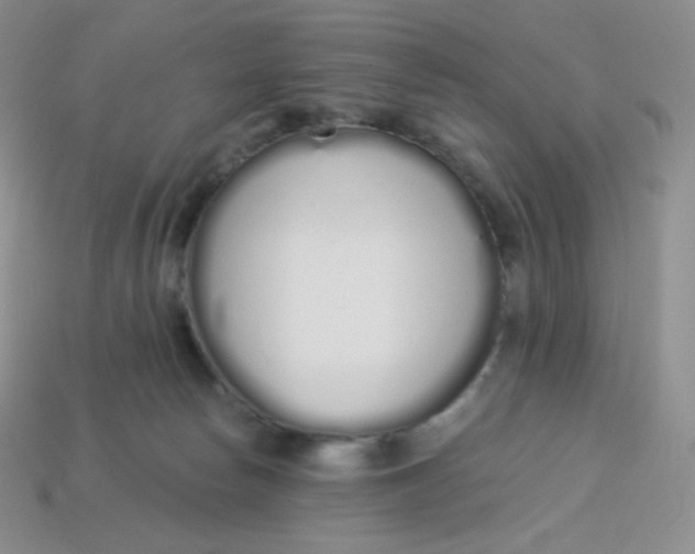 X0000114030178200910161828