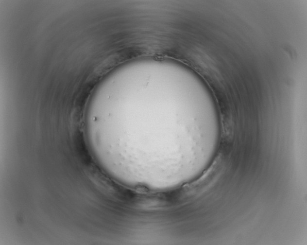 X0000114030179200910161828