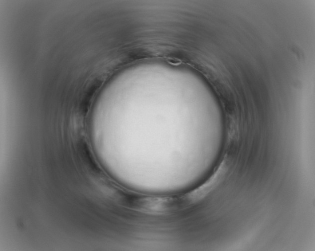 X0000114030182200910161828