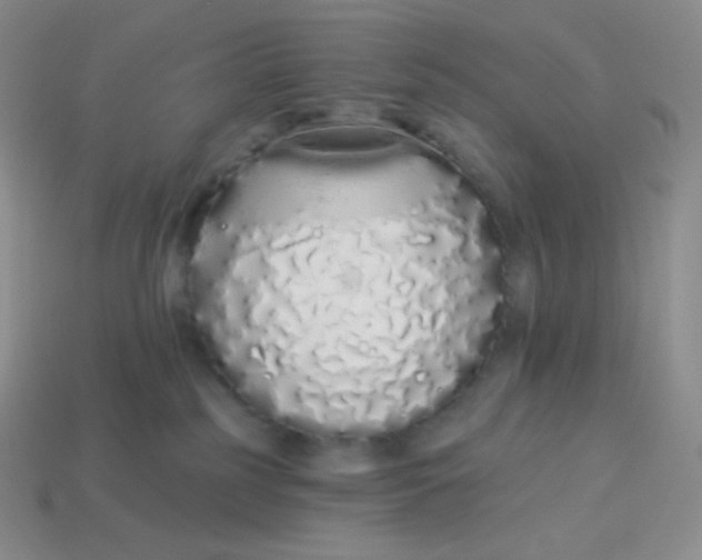 X0000114030185200910161828